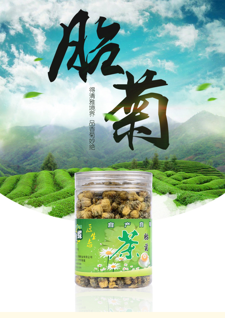  上市新花草茶保健茶菊花茶双飞蝶大60克罐装降火无农残