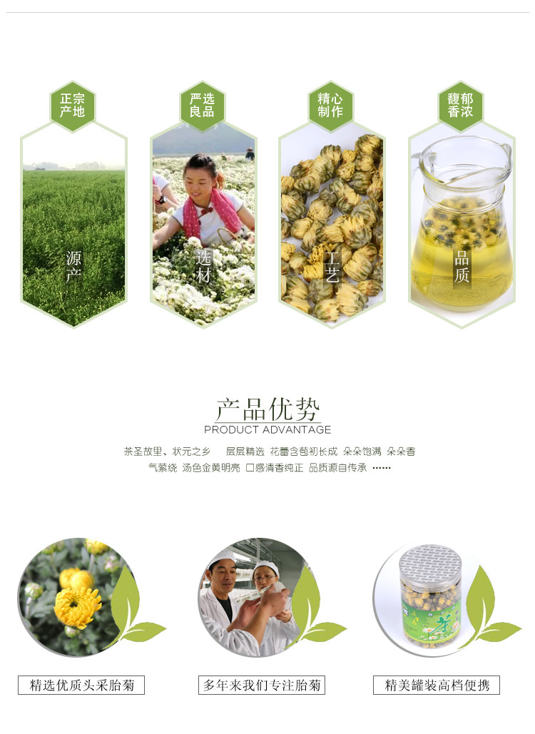  上市新花草茶保健茶菊花茶双飞蝶大60克罐装降火无农残