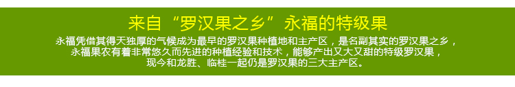 傻田生鲜桂林罗汉果花茶12个装