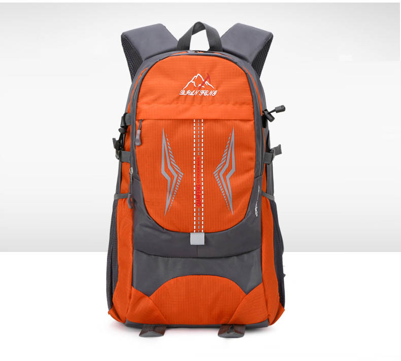 迪阿伦 户外登山旅行双肩包休闲电脑背包学生书包