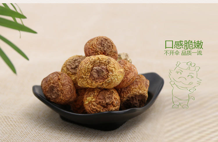 [精准扶贫-三明馆]新鲜天然松茸野生菌土特产干货500g