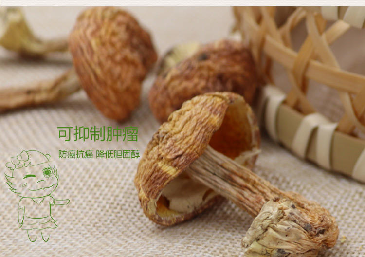 [精准扶贫-三明馆] 明记在心 新鲜松茸野生菌土特产干货250g