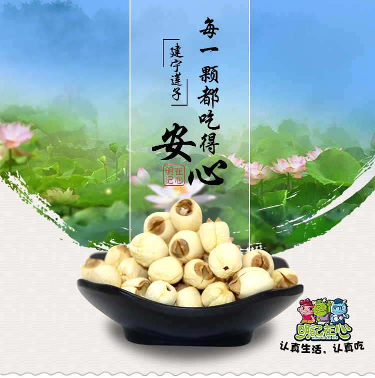 明记在心 建宁无芯精品莲子新鲜农家天然纯手工干货400g