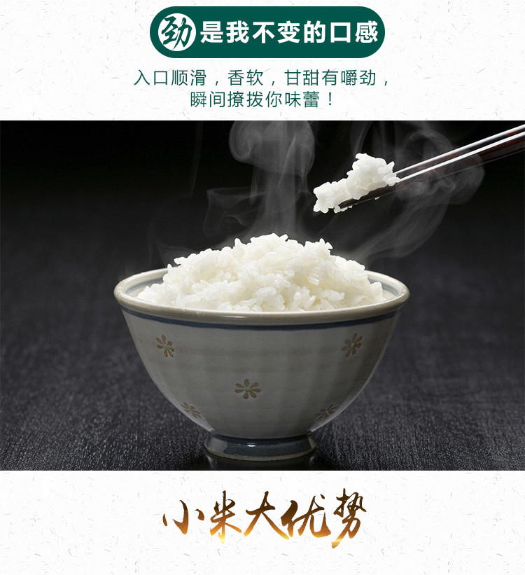 大姐农庄正宗东北大米10斤小粒香米5kg现磨鲜米新米上市