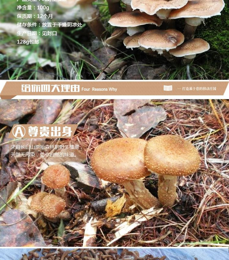 大姐农庄 2017新东北野生榛蘑精选去根食用菌特产包邮