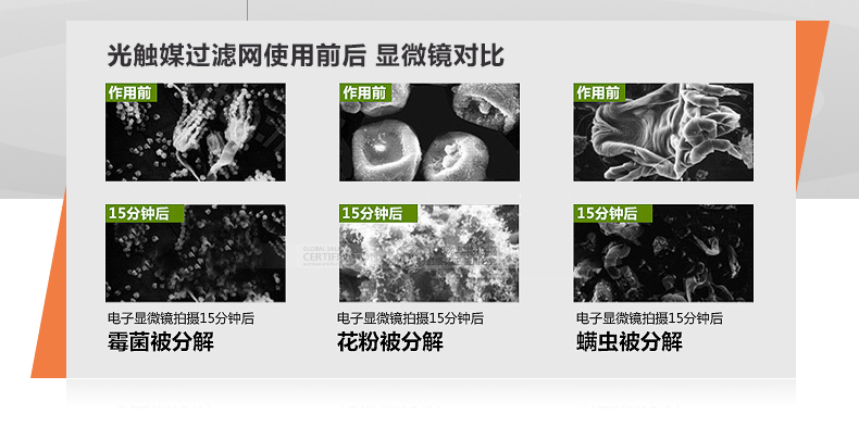 赛特斯CSQ-1010除湿机家用静音抽湿吸湿器干衣净化去潮工业除湿器