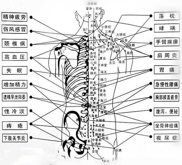 颈椎腰椎按摩器 正反揉捏加热按摩靠垫 腰部背部按摩枕 158H