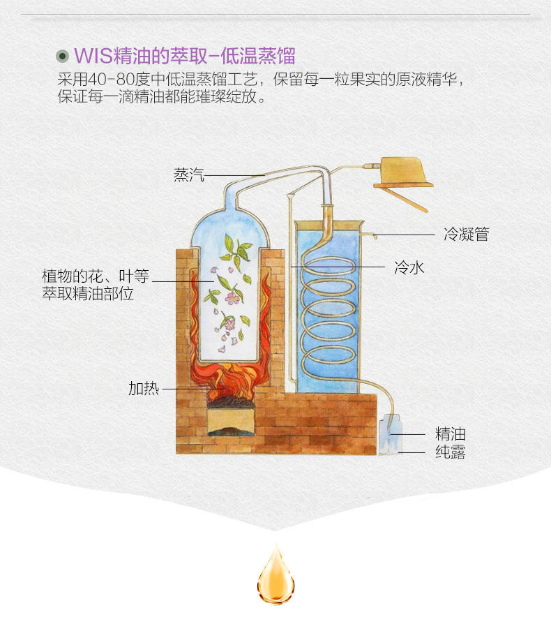 WIS祛痘淡印精油套装 薰衣草茶树精油调理肌肤控油收缩毛孔护肤品