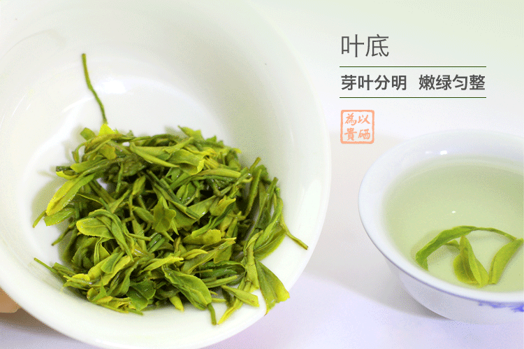 硒源山罗氏毛尖2016新茶茶叶高山有机绿茶富硒茶