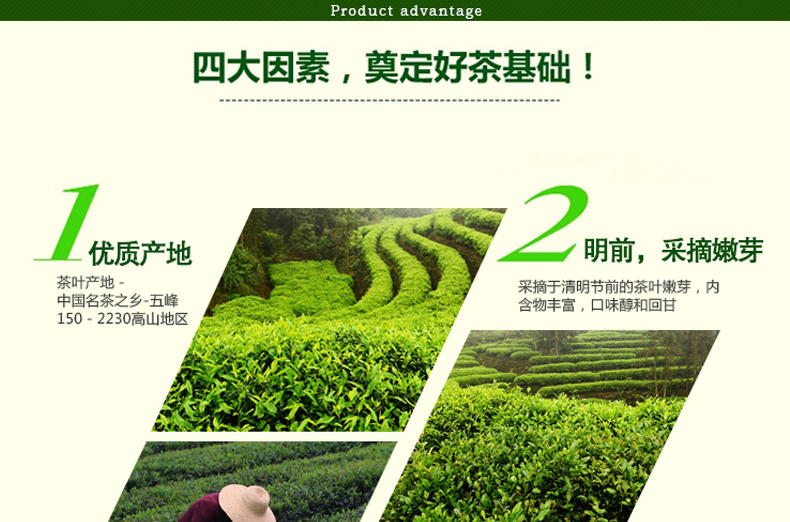 2016年五峰绿茶新茶 茶叶明前春茶日照高山云雾袋装原产地250g