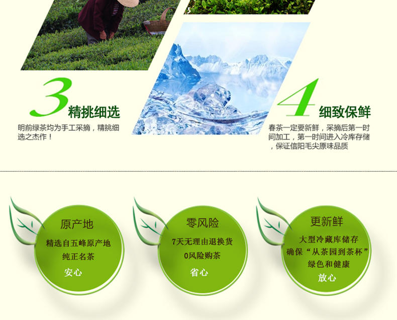 2016年五峰绿茶新茶 茶叶明前春茶日照高山云雾袋装原产地250g