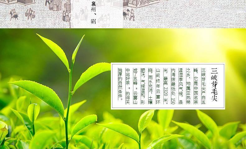 【夷陵馆】农夫乡情三峡芽毛尖茶 2016新茶五峰绿茶罐装50g