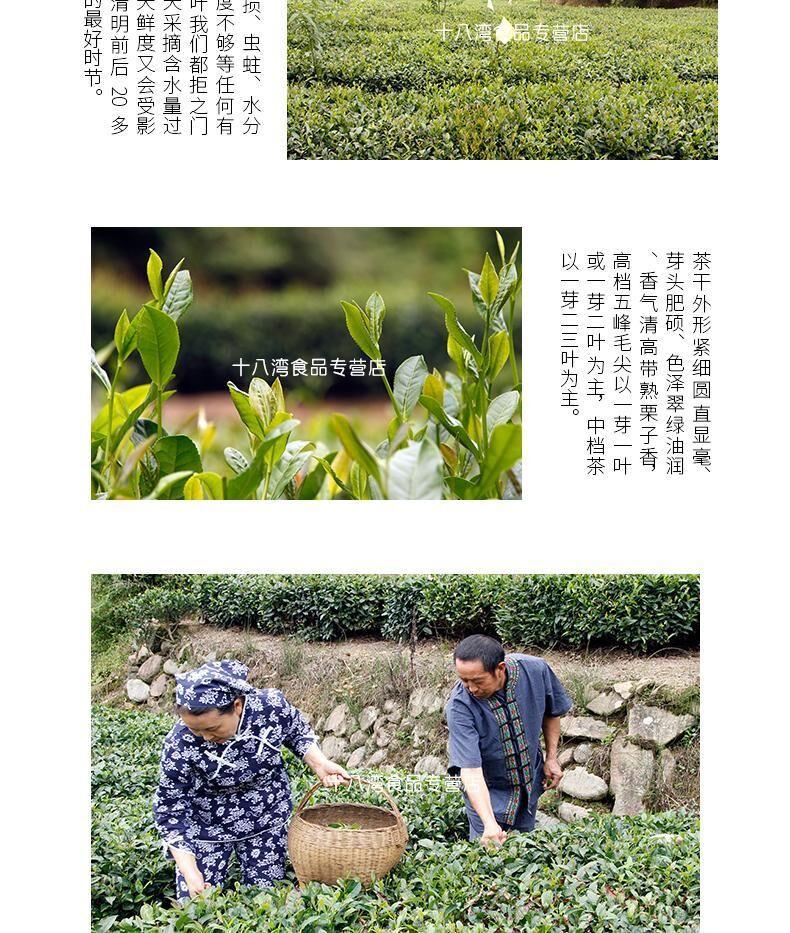 【夷陵馆】农夫乡情三峡芽毛尖茶 2016新茶五峰绿茶罐装50g