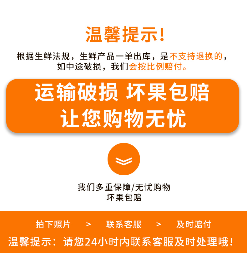 农夫乡情秭归脐橙夏橙 新鲜水果橙子现摘现发酸甜可口时令5斤包邮