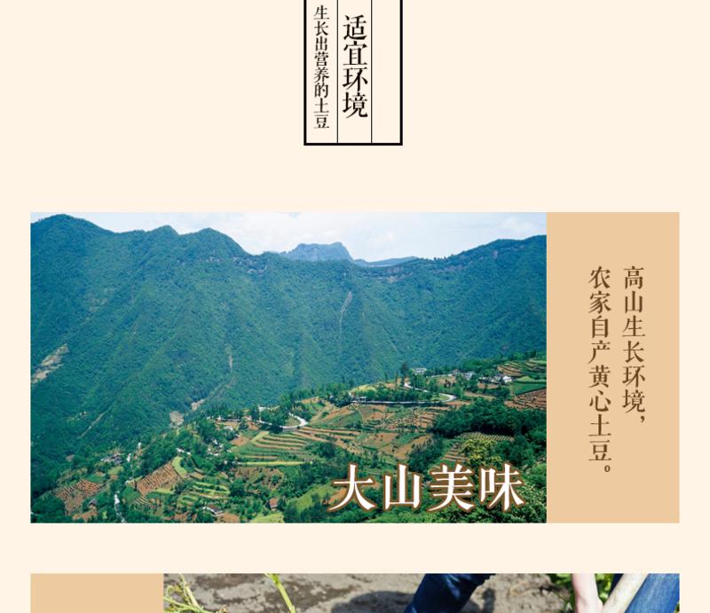 农夫乡情湖北五峰高山小黄心土豆 农家自产新鲜蔬菜马铃薯农家洋芋9斤