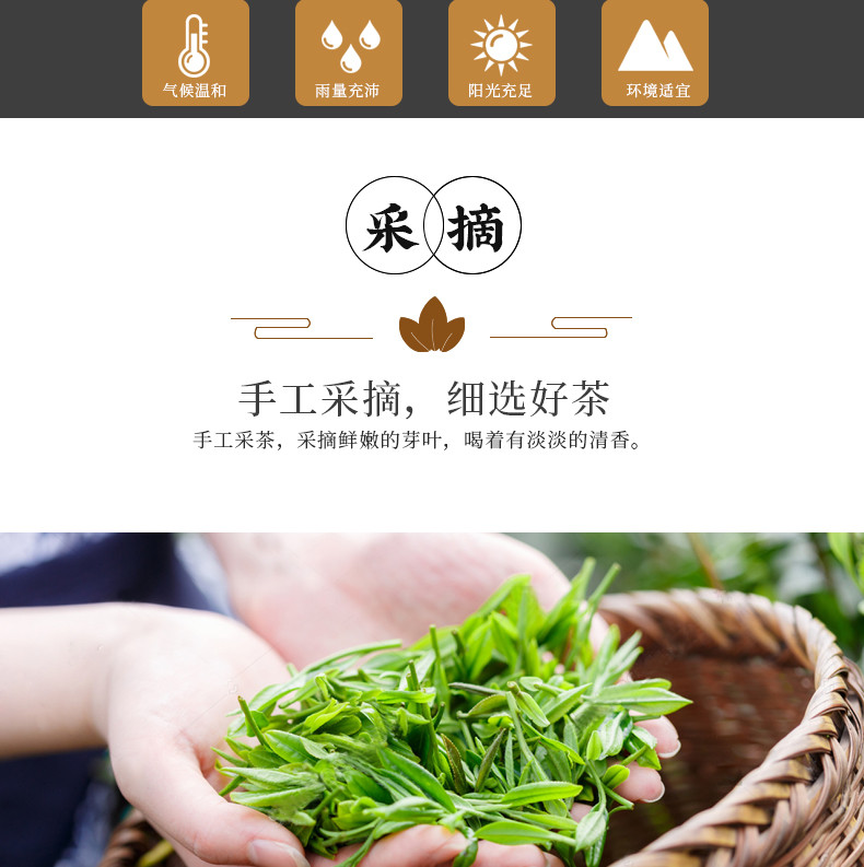 【夷陵馆】2018年三峡明前芽毛尖新茶盒装200G*2 礼盒装茶叶嫩芽高山绿茶