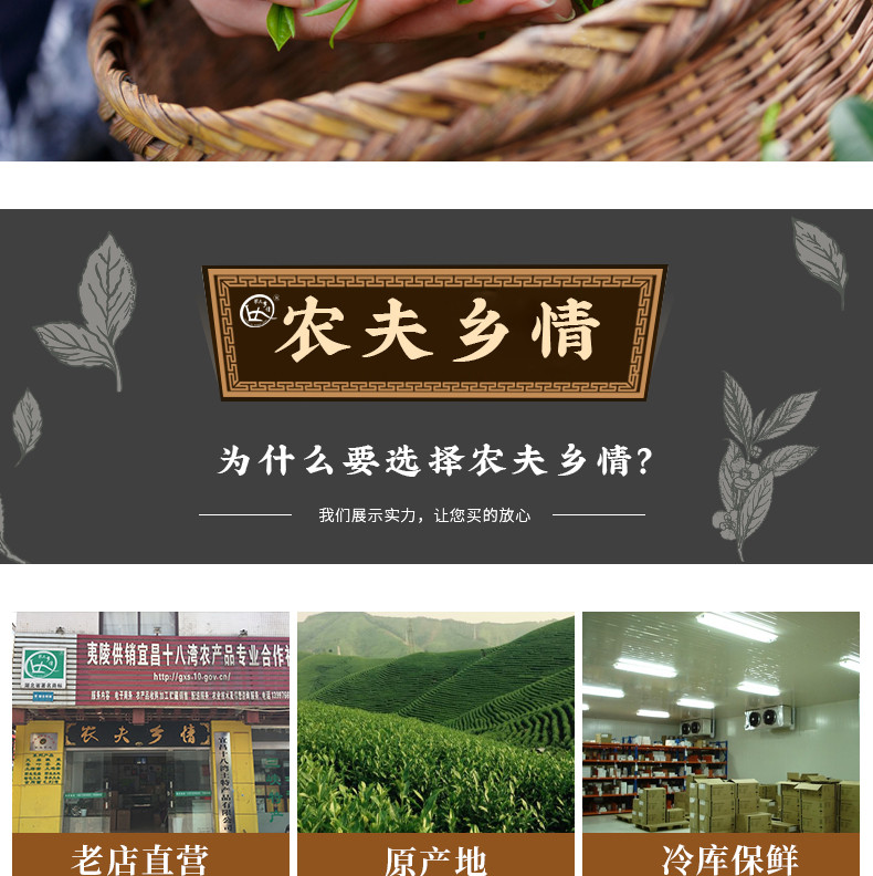 【夷陵馆】2018年三峡明前芽毛尖新茶盒装200G*2 礼盒装茶叶嫩芽高山绿茶