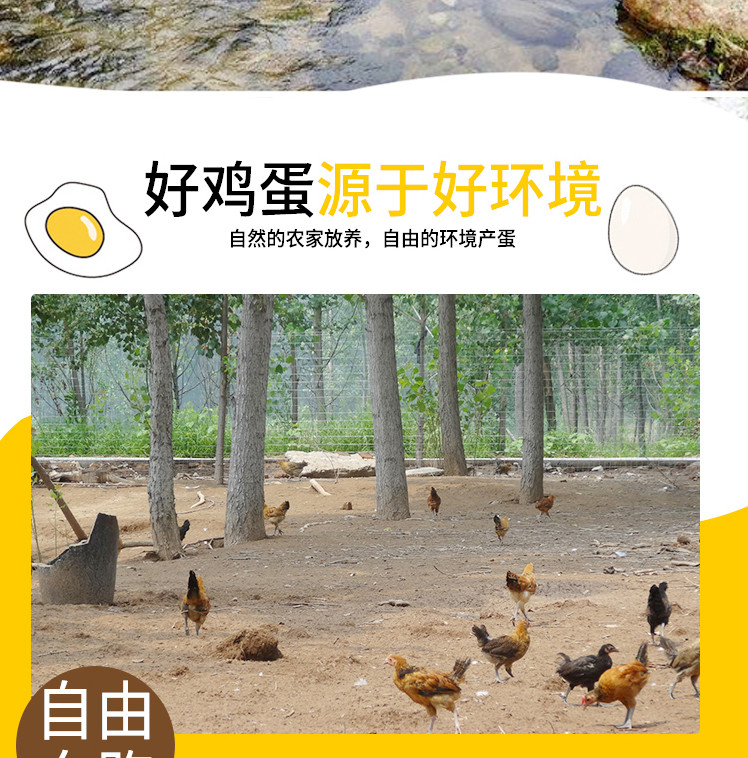 【长阳馆】长阳农村散养土鸡蛋柴鸡蛋草鸡蛋月子初产蛋30枚 包邮