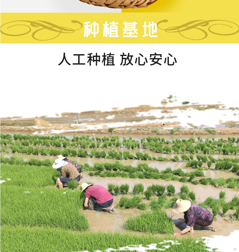 荆盛新米泉水米农家晚稻长粒香米籼稻大米10斤