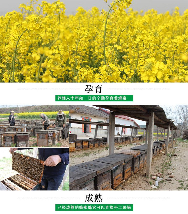 【宜昌市乡村振兴馆】宜昌特产自产农家土蜂蜜500g罐装