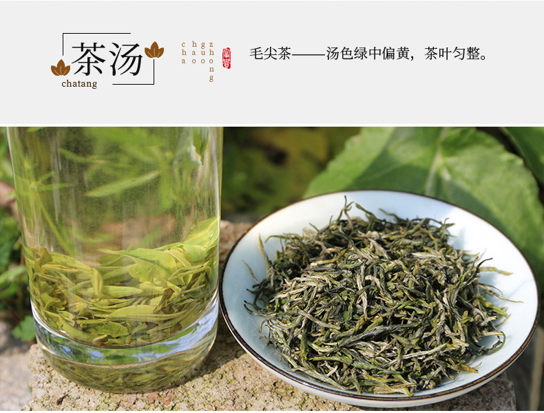 农夫乡情 【春茶节】2024年新茶叶嫩芽春茶高山明前手工毛尖绿茶