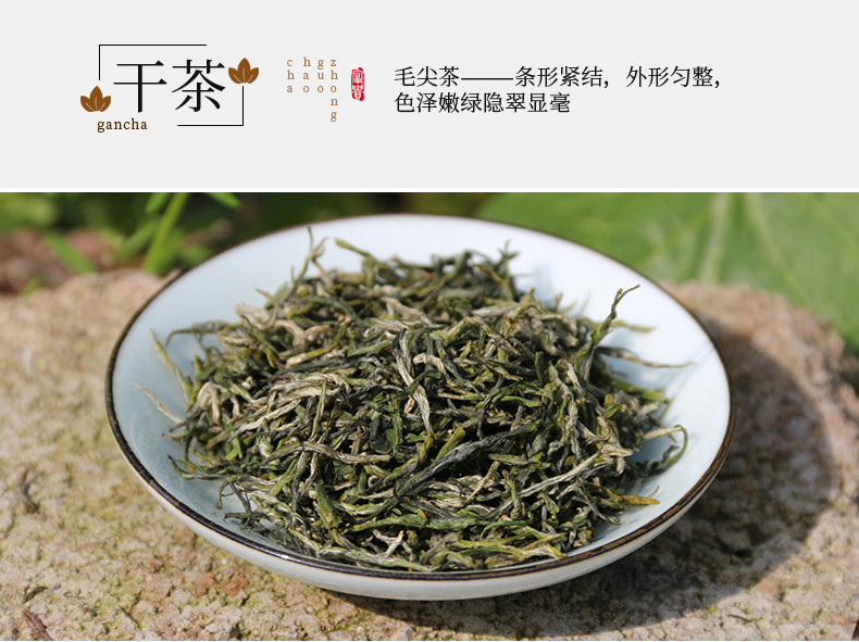 农夫乡情 【春茶节】2024年新茶叶嫩芽春茶高山明前手工毛尖绿茶