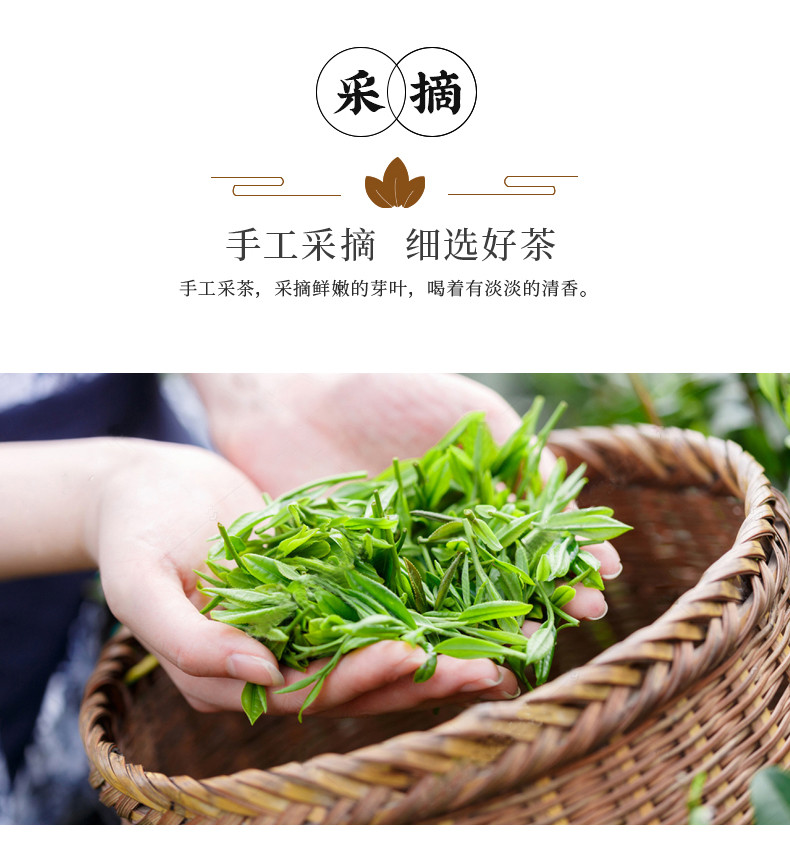 农夫乡情 湖北特产2021新茶明前春茶毛尖茶叶50g