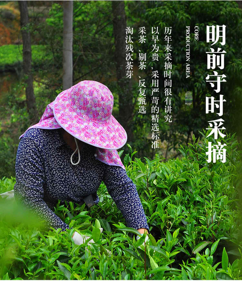 【2023春茶节】昆谷堂春茶特产昆谷绿茶125g罐装