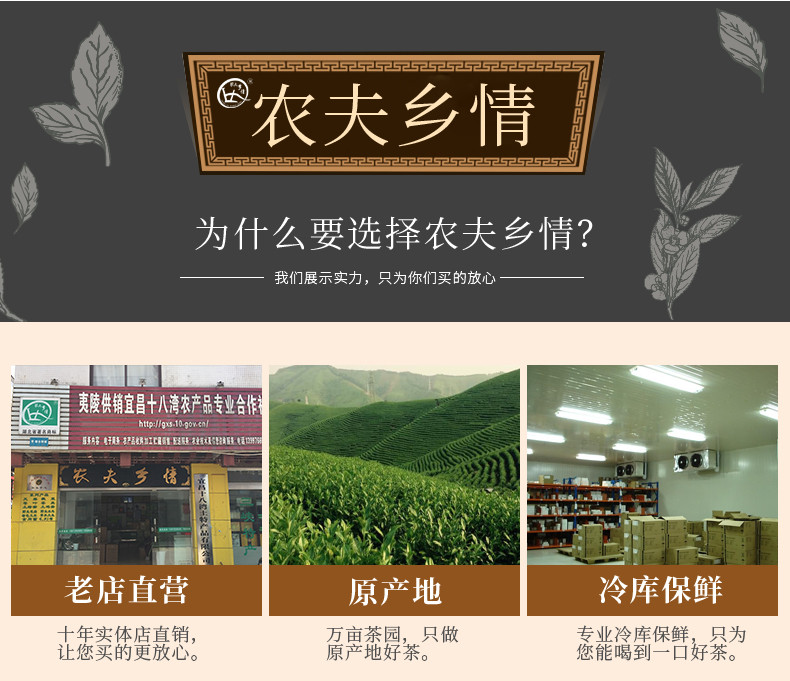 农夫乡情 【春茶节】2024年雀舌绿茶叶毛尖嫩芽春茶150g