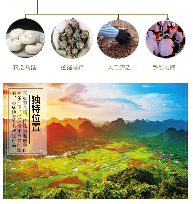 【贵港馆】广西贵港荸荠粉马蹄糕粉500g