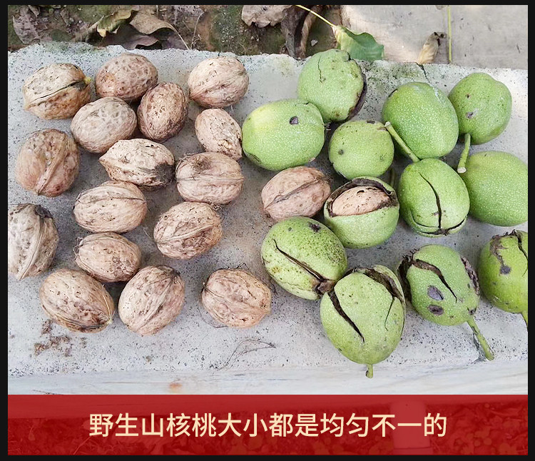 【贵港馆】精选云南高山野生老树核桃5斤紫皮核桃原生态无漂白无防腐超级优质大核桃孕妇