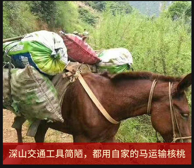 【贵港馆】精选云南高山野生老树核桃5斤紫皮核桃原生态无漂白无防腐超级优质大核桃孕妇