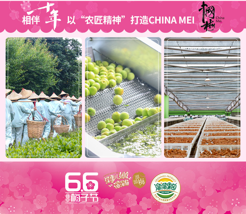 【一百】溜溜梅九制梅60g（全店满58元起配送）