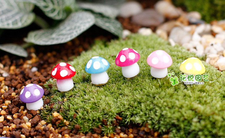  多肉植物装饰小摆件微景观小饰品苔藓微景观小摆件树脂蘑菇(10个颜色随机)