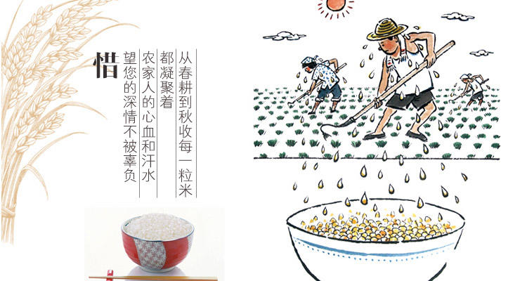 友邦米业绿色非转基因米新米粳米圆粒米10斤装