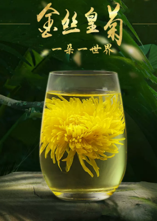 峨城丰 【开江】金丝皇菊清香型一杯一朵菊花茶