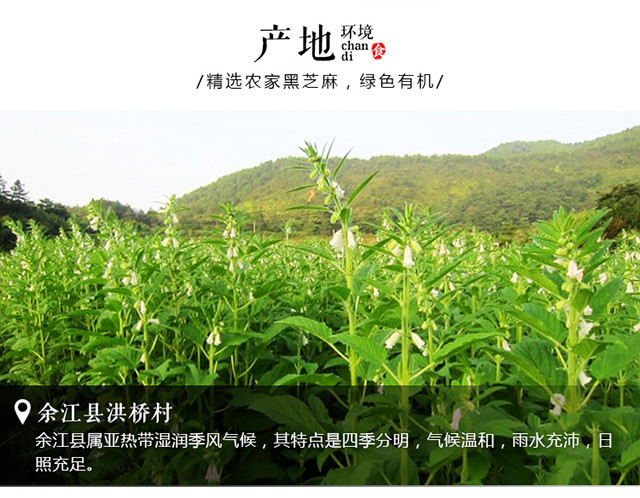 【邮乐鹰潭馆】余江野生熟黑芝麻500g包邮