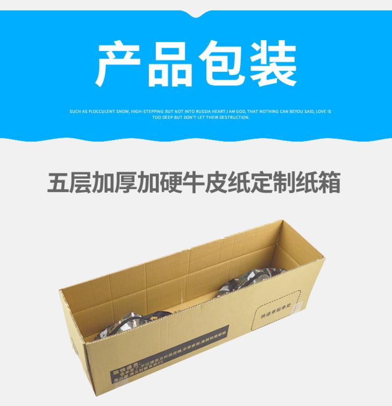 游龙板儿童二轮滑板车成人青少年两轮闪光轮滑板初学者滑板