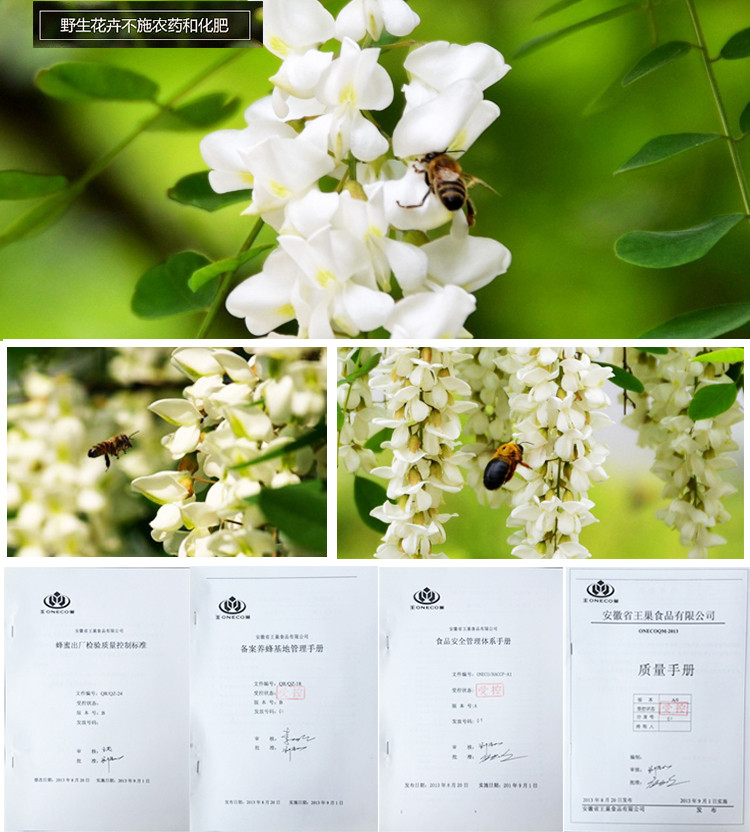 王巢 野生百花蜂蜜 农家自产土蜂蜜 500g×2瓶