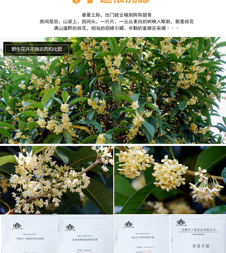 王巢 桂花蜂蜜 百花蜜 农家自产土蜂蜜 950克