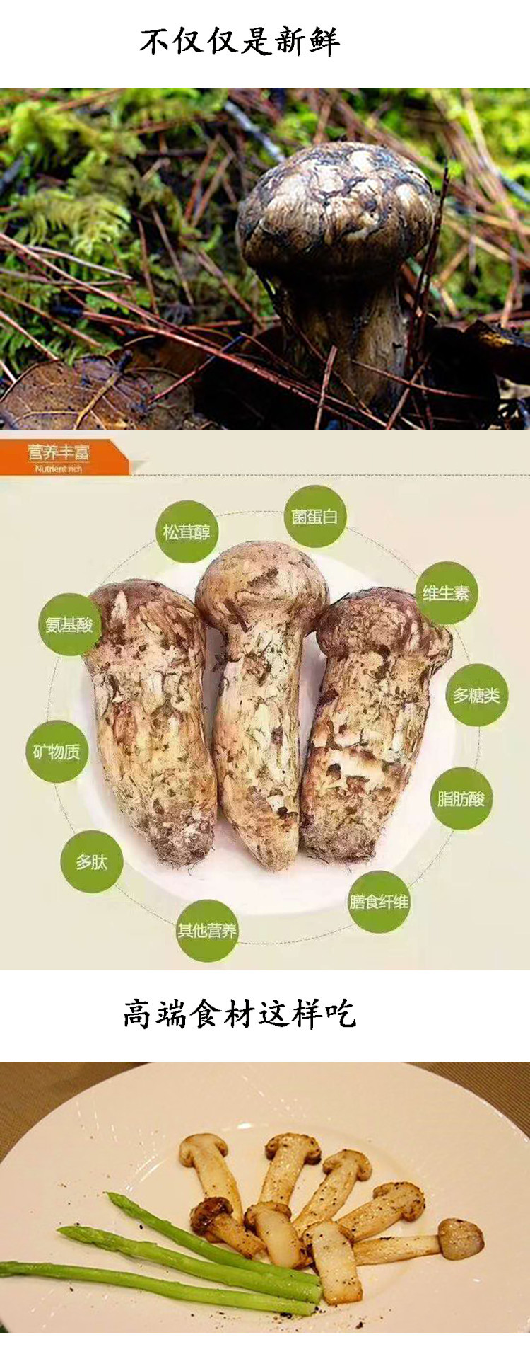 零无染2018年新鲜野生松茸非香格里拉松茸新鲜菌菇云南西藏四川土特产3-5公分500g顺丰包邮