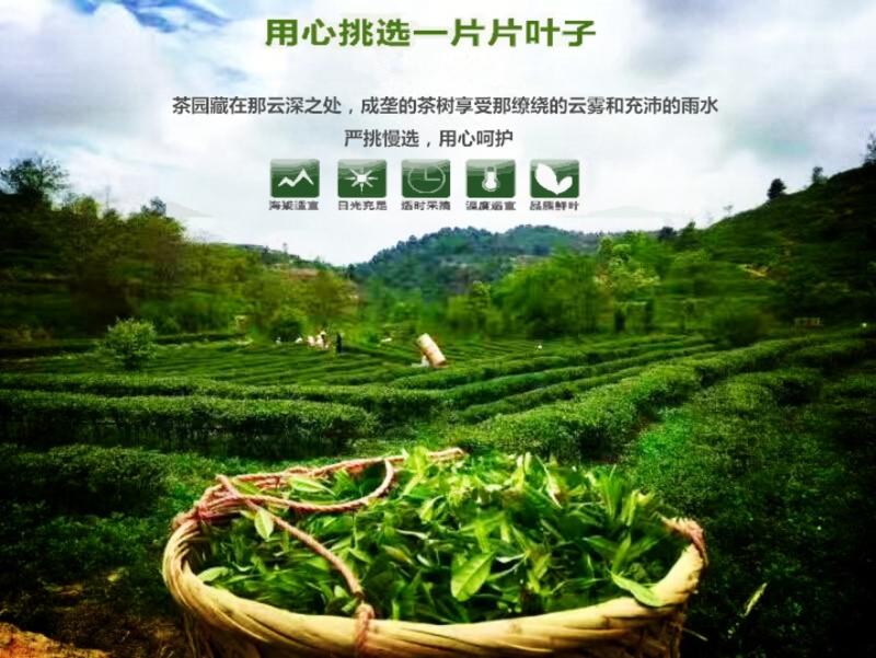 300g石正云雾富硒绿茶