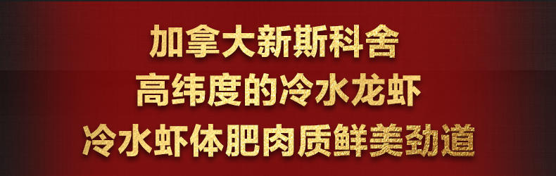 大渔场--加拿大进口鲜活波士顿龙虾 1只 海鲜水产 1.75kg/只