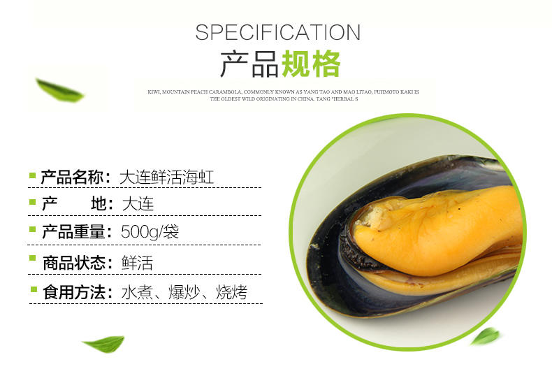 大渔场 大连鲜活海虹 青口贝 淡菜 500g