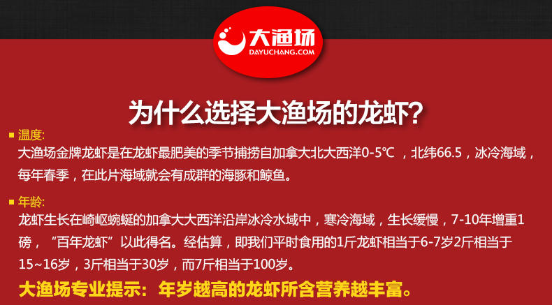 大渔场 加拿大龙虾900g 鲜活 波士顿龙虾 进口海鲜 活虾保活