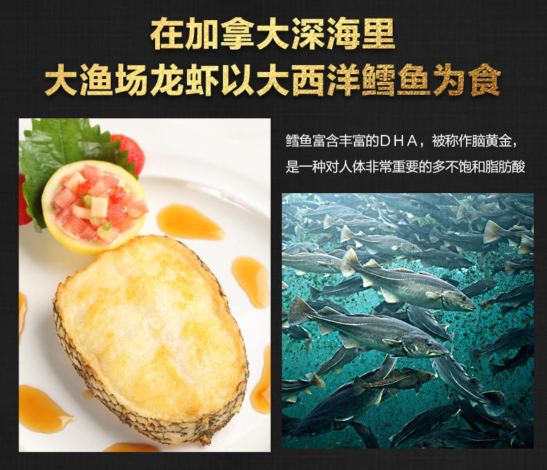 大渔场 加拿大龙虾900g 鲜活 波士顿龙虾 进口海鲜 活虾保活