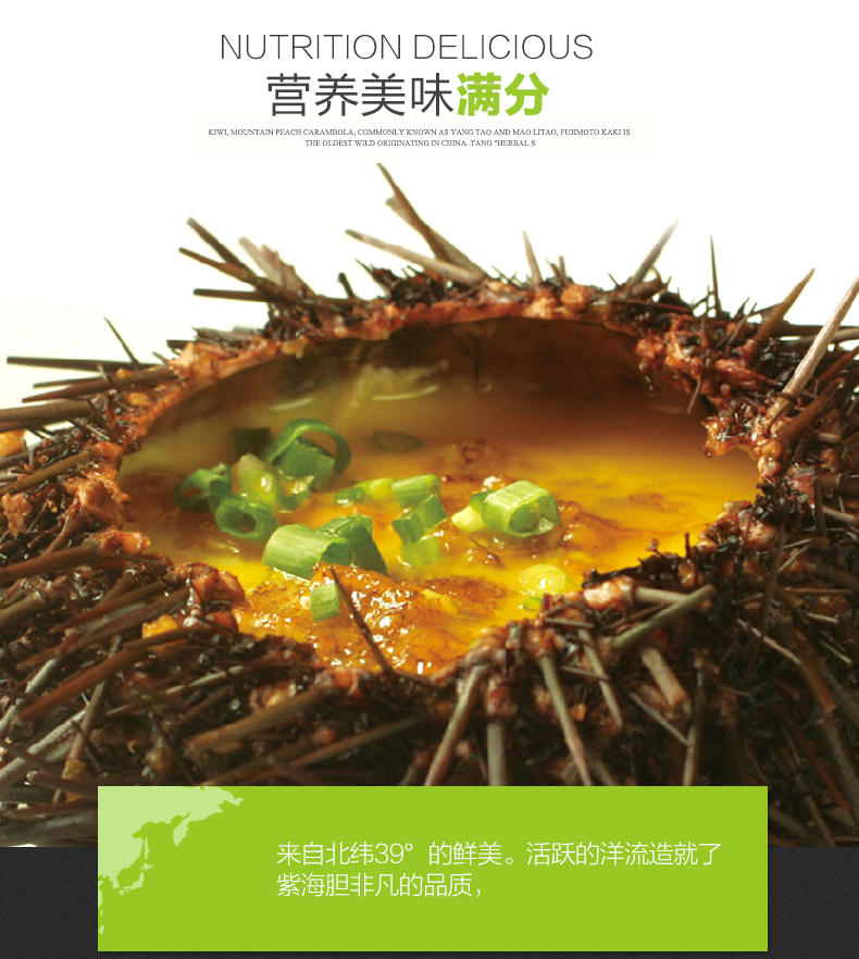 【大渔场】大连鲜活紫海胆 2-3只/斤 满黄 新鲜刺锅子