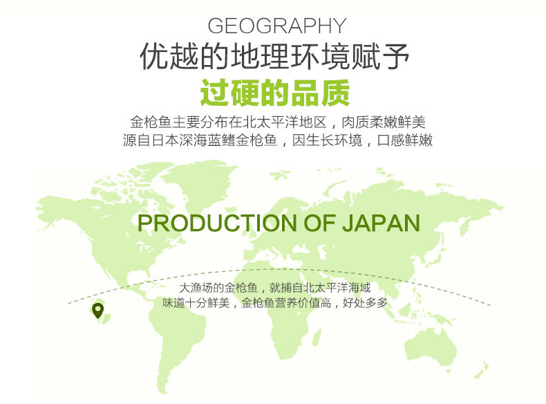 【大渔场】日本进口金枪鱼500g 新鲜冷冻生鱼片 深海鱼