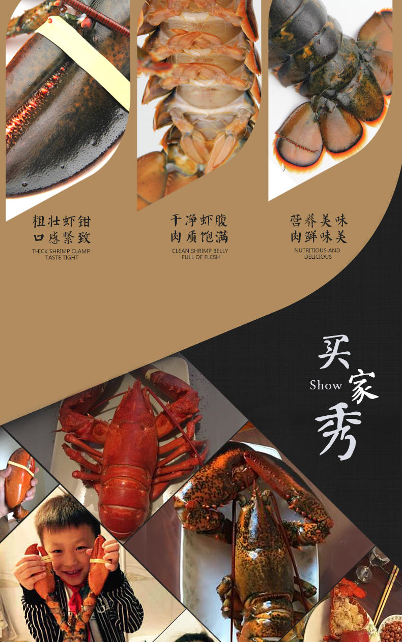 【大渔场】鲜活龙虾 鲜活大龙虾 2斤/只 加拿大龙虾 鲜活发货