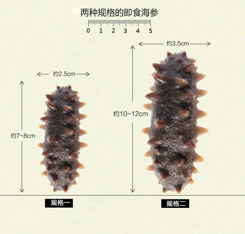 大渔场--大连冷冻即食海参刺参辽参 8-12头 500g